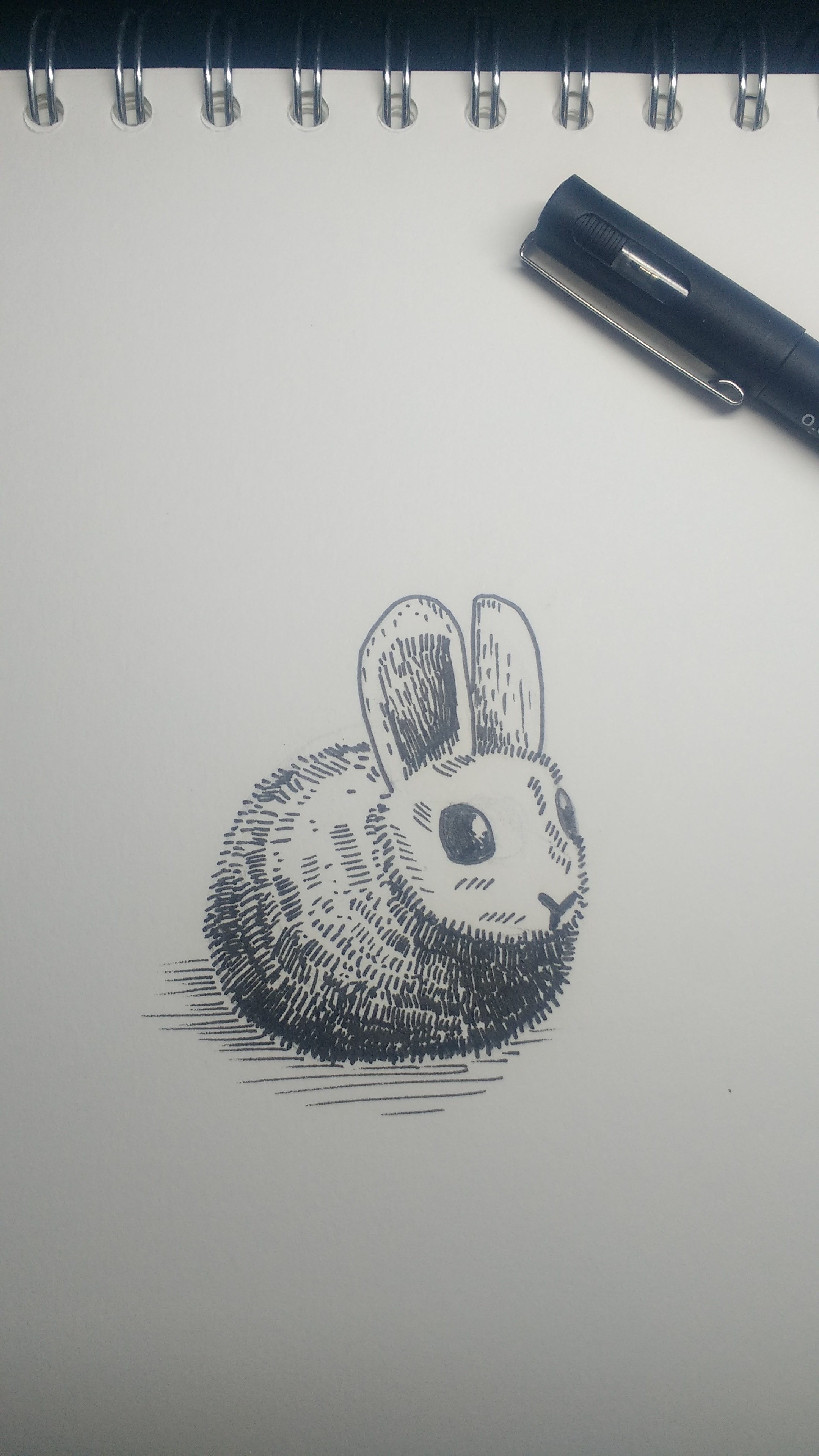Photo of Hare’s mascot, Harriet, pen on paper